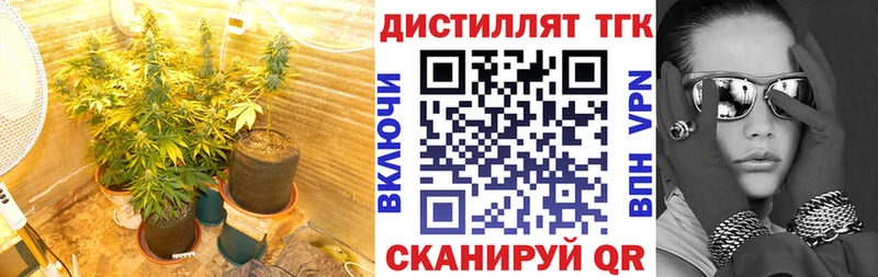 hydra сайт  Борзя  ТГК Wax 